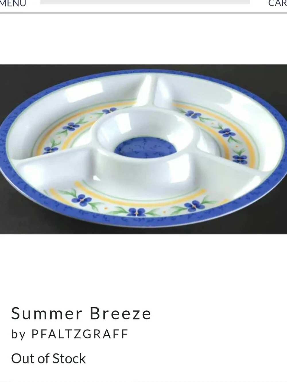 Pfaltzgraff Summer Breeze Melamine Chip Dip Divided Serving Tray Platter